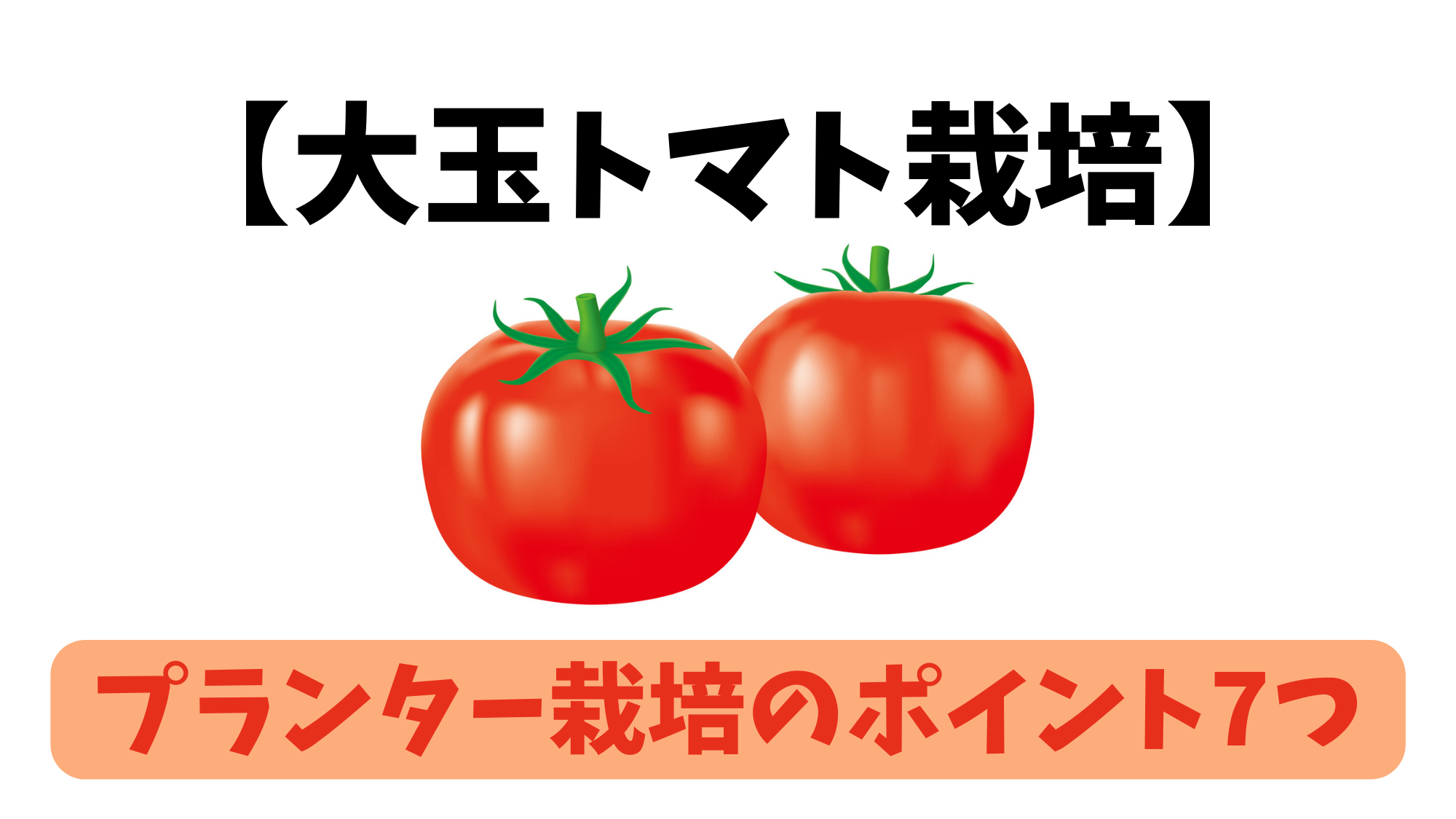 【大玉トマト】プランター栽培で気を付ける7つの大切なこと